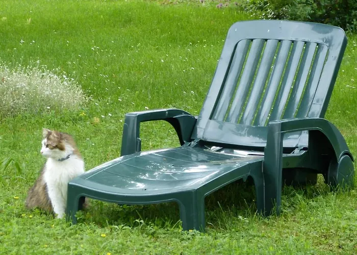 L'echappee Belle Perigord